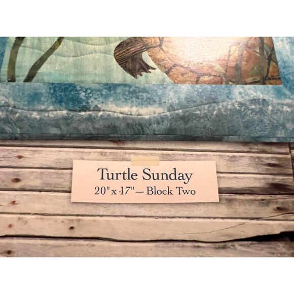 Quilt Pattern turtle sunday block 2 quilt something fishy - Picture 3 of 5